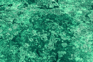 Vintage green background. Rough painted wall of emerald color. Imperfect plane of virid colored. Uneven old decorative toned backdrop of green tint. Texture of emerald hue. Ornamental stony surface.
