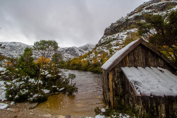 The Fagus showing its colours at Crater Lake in Tasmania. A wild and cold day with the crater lake boatshed in the foreground.