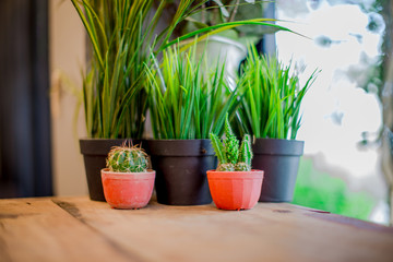 Blurred background of interior room (bakery coffee restaurant) by bringing a vase, wooden table Bookshelves, for the beauty of the shop and impressing those found 