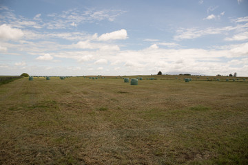 Obraz premium May bales in a field