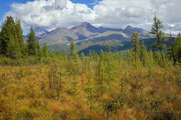 Swamp near the mountains of the Kodar range