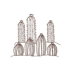 cactus in landscape isolated icon