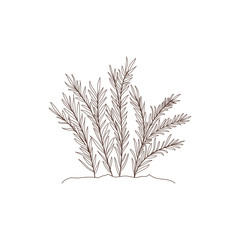 Fototapeta premium plant in landscape isolated icon