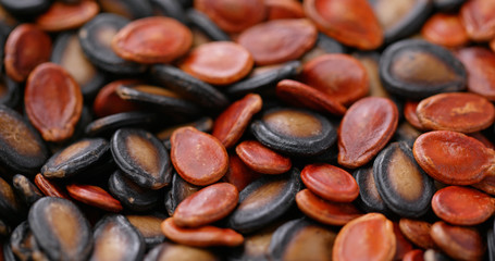 Mix of red and black melon seed