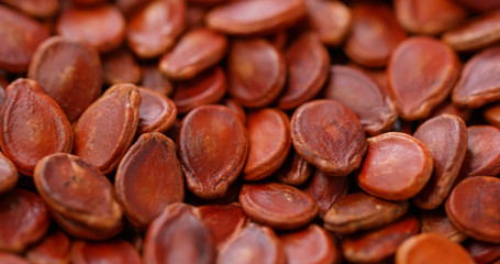 Red water melon dry seed for lunar new year