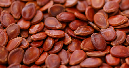 Red water melon dry seed for chinese new year