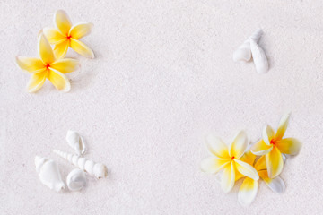 Fototapeta na wymiar frangipani flowers on sand and shells summer tropical