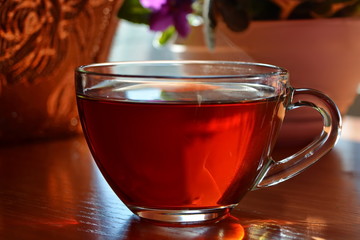 Glass cup of tea on wooden window sill in front of a dark curtain at sunrise on blurred background with flower in floral pot. Selective focus