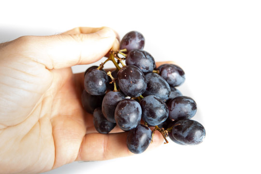 Fresh black juicy grape 
