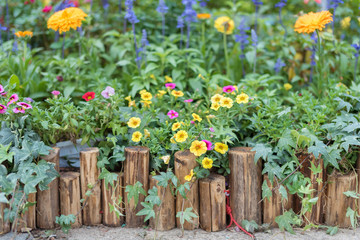 Wooden fence in beautiful backyard flower garden