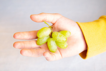 Yellow Grape in hand white background