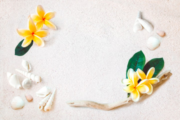 Fototapeta na wymiar yellow frangipani plumeria flowers and shells frame on sand background 