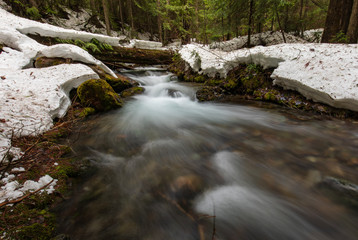 Redfish lake creek Idaho with melting snow