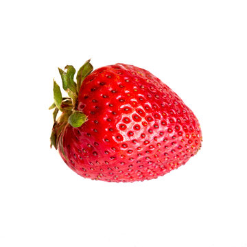 One Strawberry white background