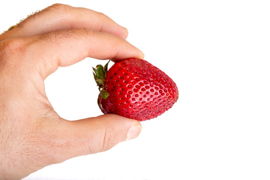 holding Strawberry white background
