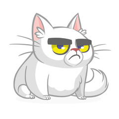 Cartoon cranky white cat. Cute fat cartoon cat illustration with a cranky expression