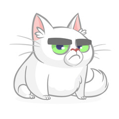 Cartoon cranky white cat. Cute fat cartoon cat illustration with a cranky expression