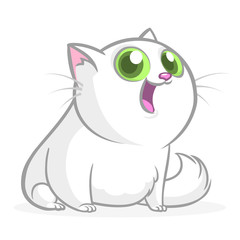 Cartoon funny fat cat illustration