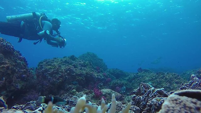 A 60 fps video of an underwater cameraman taking photos in the ocean of marine life with underwater equipment and lights