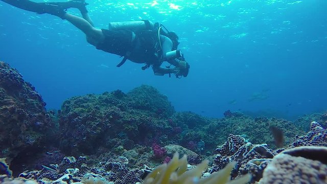 A slow-motion video of an underwater cameraman filming marine life while swimming above a tropical reef
