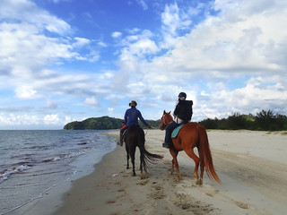 Horse riding activity on the beach during hot and sunny day.