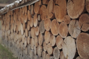 한국의 나무 담장