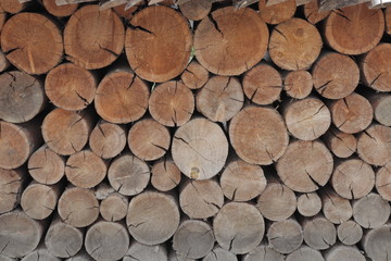 한국의 나무 담장