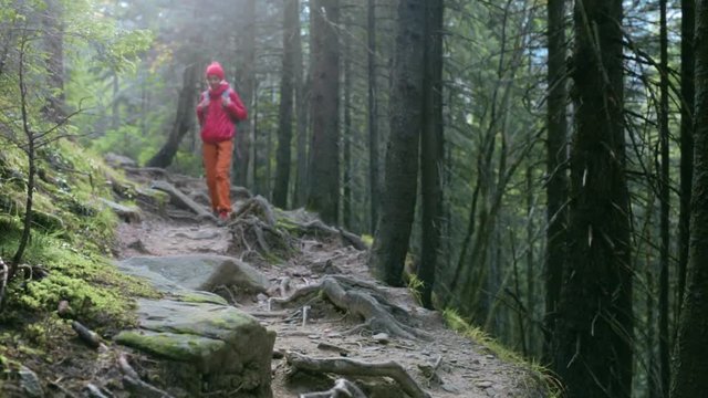 woman hiker with backpack, wearing in red jacket and orange pants, walking by rocky trail in the dark thick pine forest in mountains, Western Ukraine.