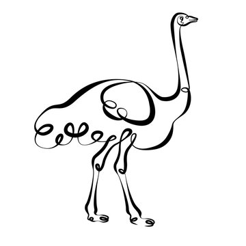 recommend clip art: Continuous single one line hand drawing hand ostrich Emu