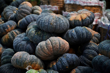 pumpkins in the market