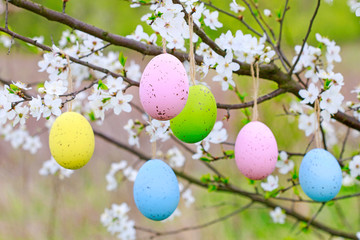 Easter eggs hanging on blooming cherry tree in the garden.