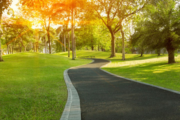 Walkway in the park