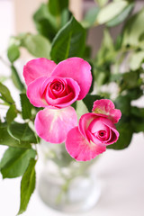 Beautiful pink roses on a soft background.