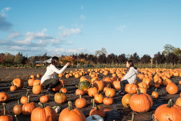 Asian Mother and Daughter Taking Picture During Pumpkin Patch