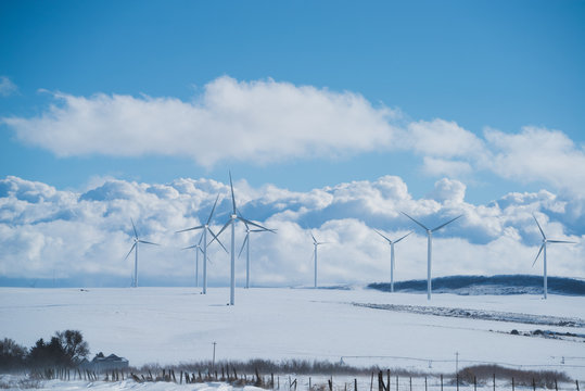 Windmills along Highway in Winter