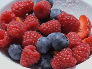 Fresh Berries, Food of Bocca di Magra Italy
