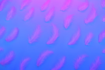 Gradient plastic pink, blue and proton purple background with neon feathers. Glowing neon. Trendy design.