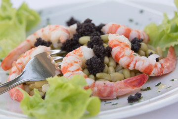 Seafood, Caviar and bean salad, Food of Bocca di Magra Italy
