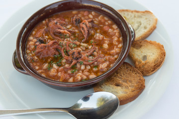 Baby Octopus and farro soup with toast Food of Bocca di Magra Italy