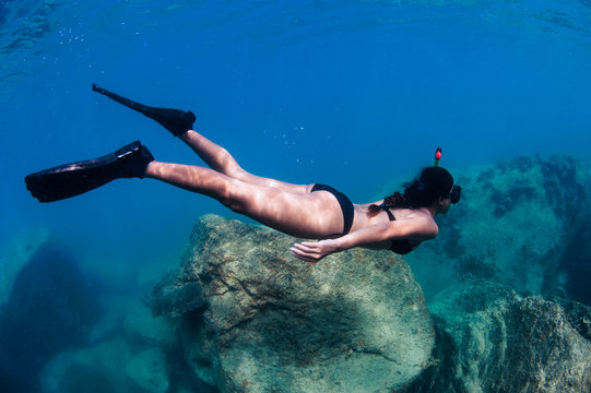 Swimming, Model