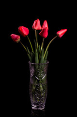 Bouquet of red tulips on a black background.
