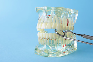 Fototapeta na wymiar Model of oral cavity with teeth and dentist tools on color background. Space for text