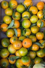 Oranges, Food of Bocca di Magra Italy