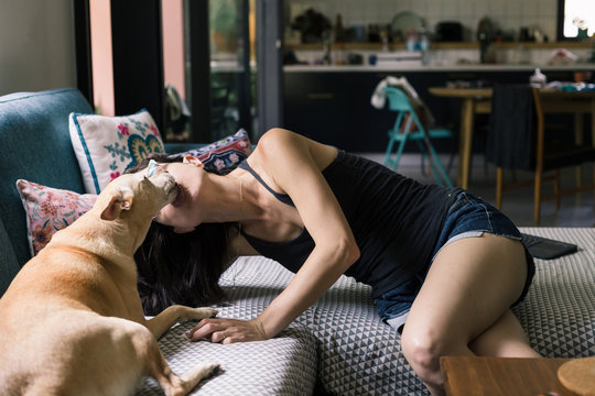 Affectionate Dog and Owner