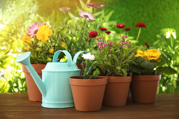 Potted blooming flowers and watering can on wooden table. Home gardening