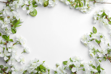 Fototapeta na wymiar Frame made of beautiful fresh spring flowers on white background, top view. Space for text