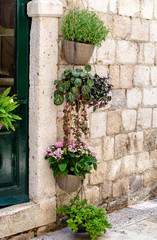 Flowerpot with flowers is on the street of the ancient city 