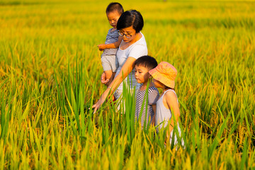 Happy asian family in the rice field