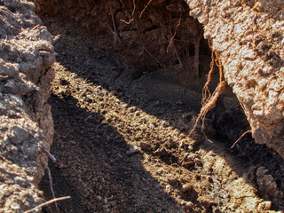 Abstract background of soil erosion. Soil scoured by heavy rain. Natural background