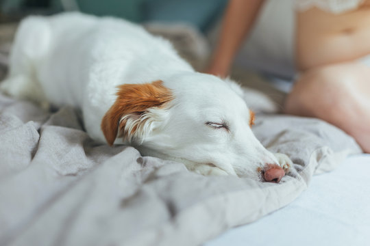 Lazy Morning